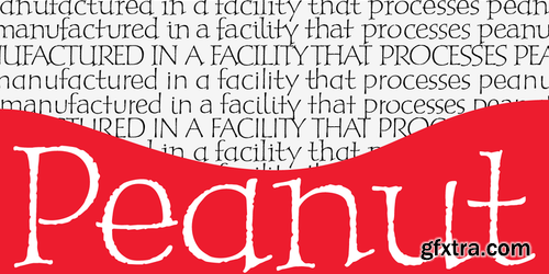 P22 Peanut Pro Font Family $70