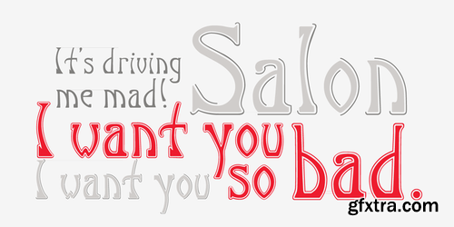 P22 Salon Font Family $50