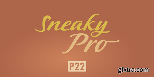 P22 Sneaky Pro Font Family $65