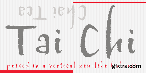 P22 Tai Chi Font Family $25