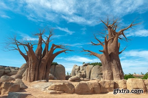 Collection Pictires most beautiful Madagascar 25 UHQ Jpeg