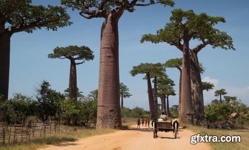 Collection Pictires most beautiful Madagascar 25 UHQ Jpeg