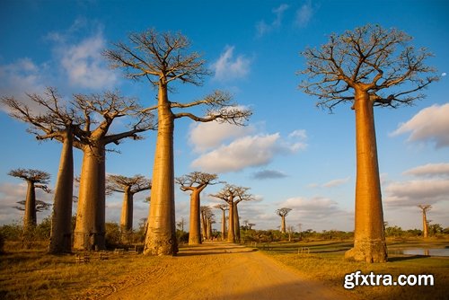 Collection Pictires most beautiful Madagascar 25 UHQ Jpeg