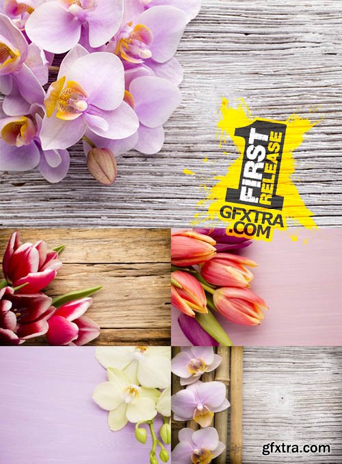 Stock Photos - Background with Flowers - Orchid & Tulip