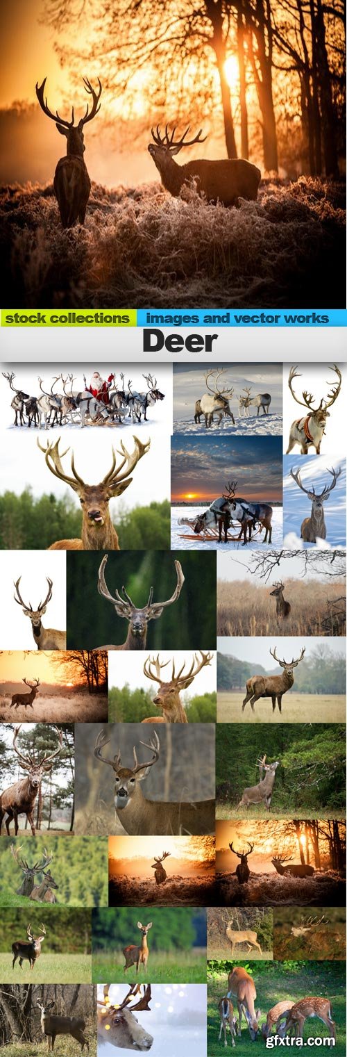 Deer,25 x UHQ JPEG