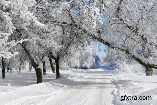 Stock Photos - Winter park, 25xJPG