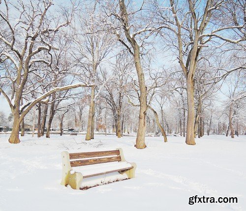 Stock Photos - Winter park, 25xJPG