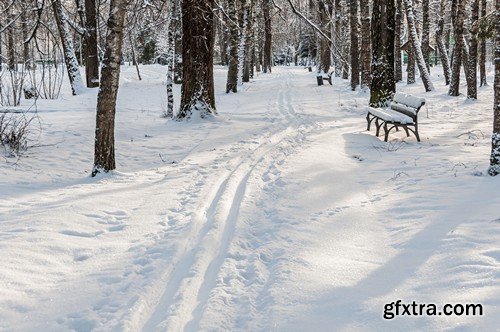 Stock Photos - Winter park, 25xJPG