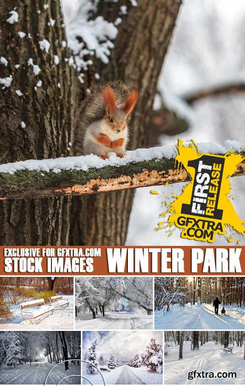 Stock Photos - Winter park, 25xJPG