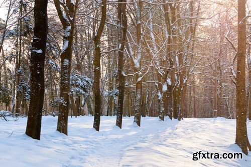 Stock Photos - Winter park, 25xJPG