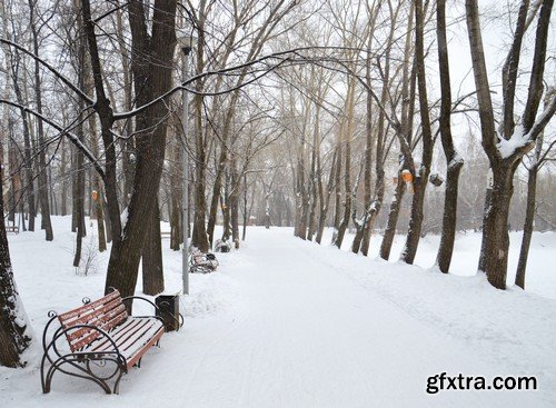 Stock Photos - Winter park, 25xJPG