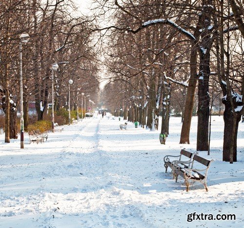 Stock Photos - Winter park, 25xJPG