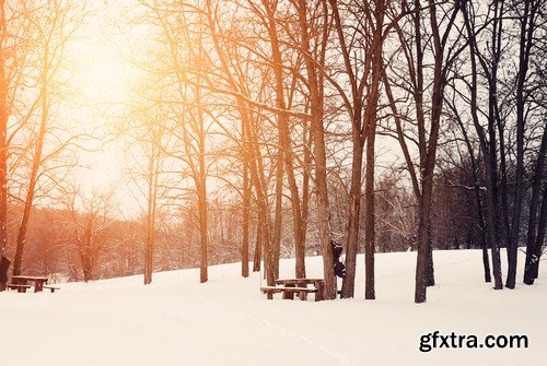 Stock Photos - Winter park, 25xJPG