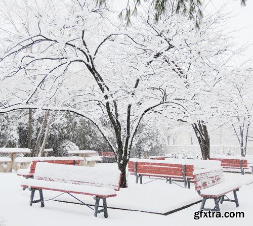 Stock Photos - Winter park, 25xJPG