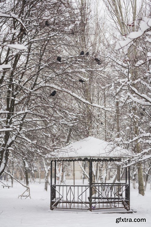 Stock Photos - Winter park, 25xJPG