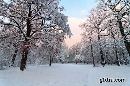 Stock Photos - Winter park, 25xJPG