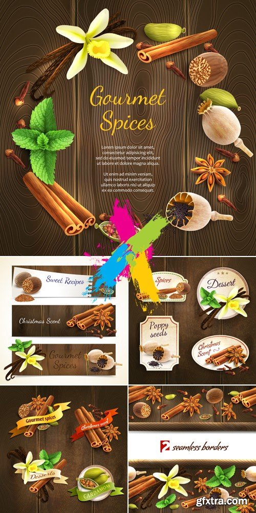 Gourmet Spices Vector