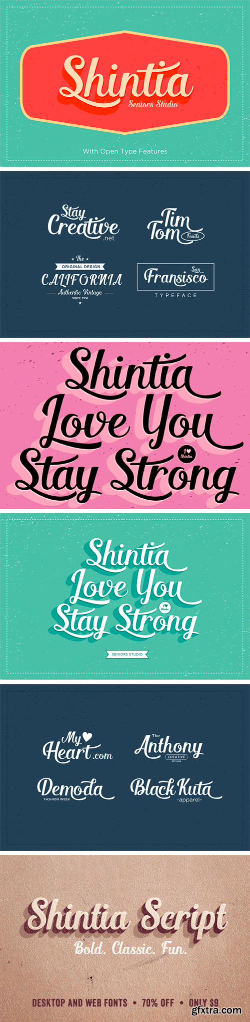 Shintia Script Font $15