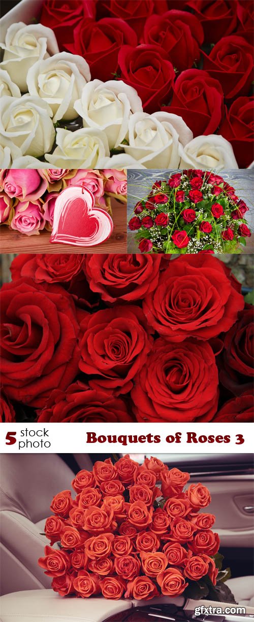 Photos - Bouquets of Roses 3