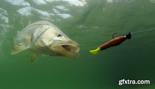 Stock Photos - Fishing, 25xJPG