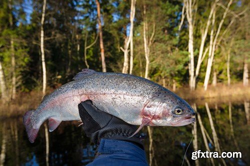 Stock Photos - Fishing, 25xJPG