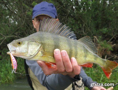 Stock Photos - Fishing, 25xJPG