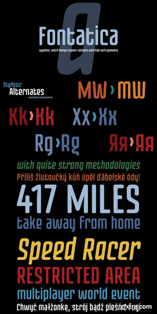 Fontatica 4F Font Family $25