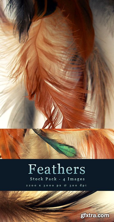 Feathers - Stock Textures