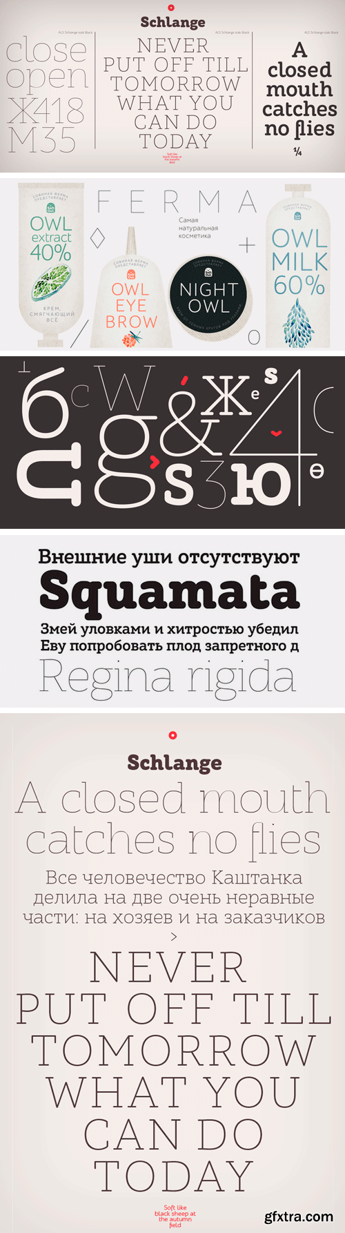 ALS Schlange Slab Font Family - 5 Fonts $273