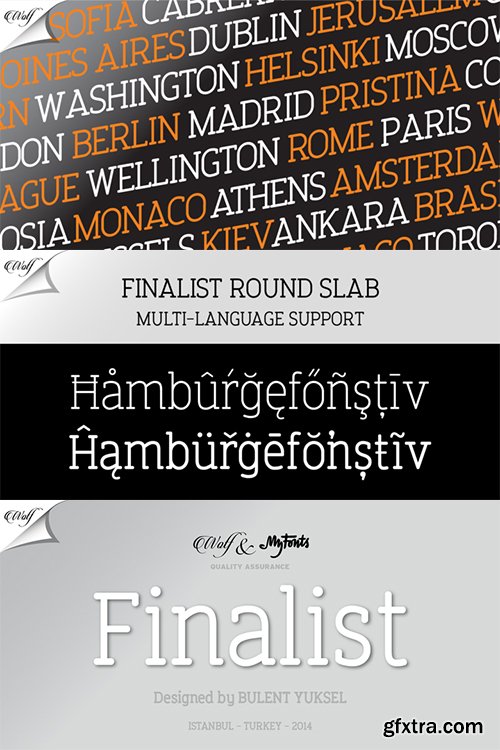 Finalist Round Slab Font Family 10 Font $150