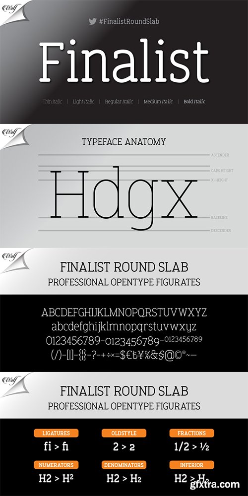 Finalist Round Slab Font Family 10 Font $150