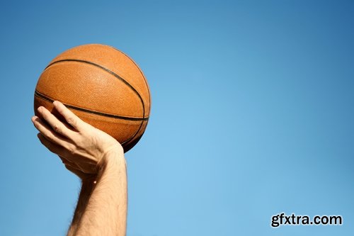 Collection of vector images of basketball 25 HQ Jpeg