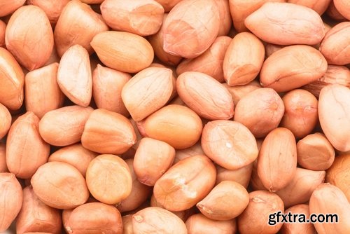 Various seeds and nuts 25 HQ Jpeg