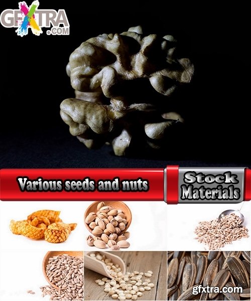 Various seeds and nuts 25 HQ Jpeg