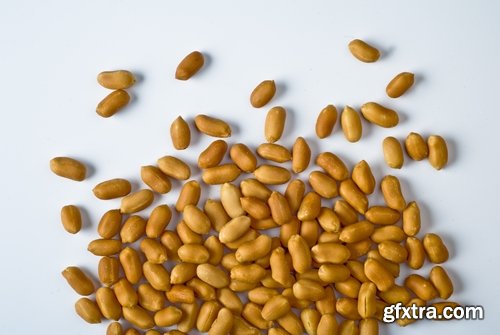 Various seeds and nuts 25 HQ Jpeg