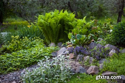 Collection of new Landscaping #3-25 UHQ Jpeg