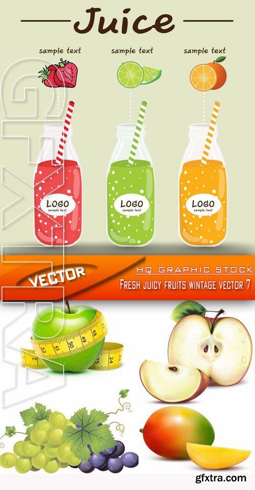 Stock Vector - Fresh juicy fruits wintage vector 7