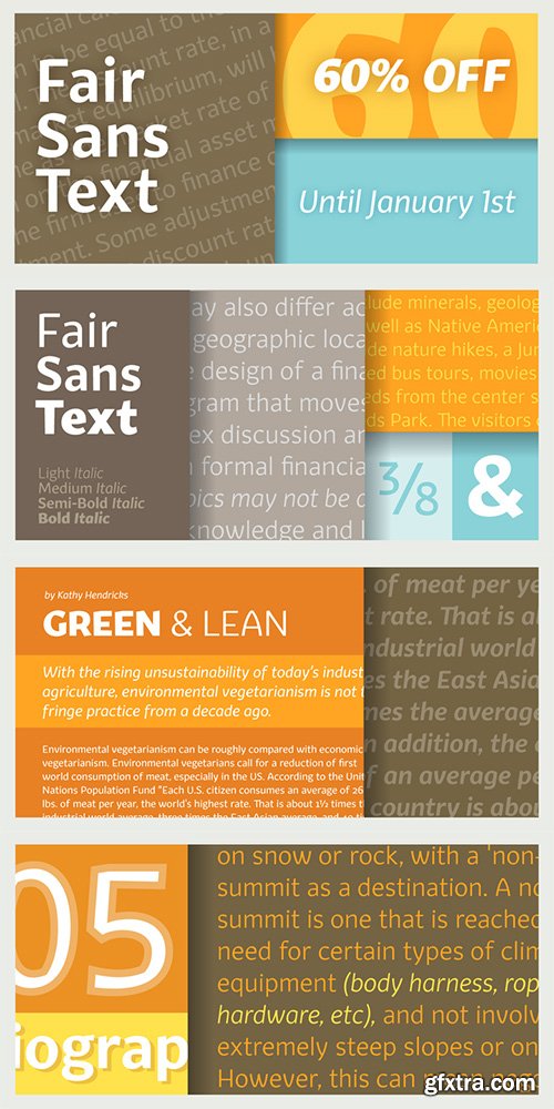 Fair Sans Text Font Family 8 Fonts $160