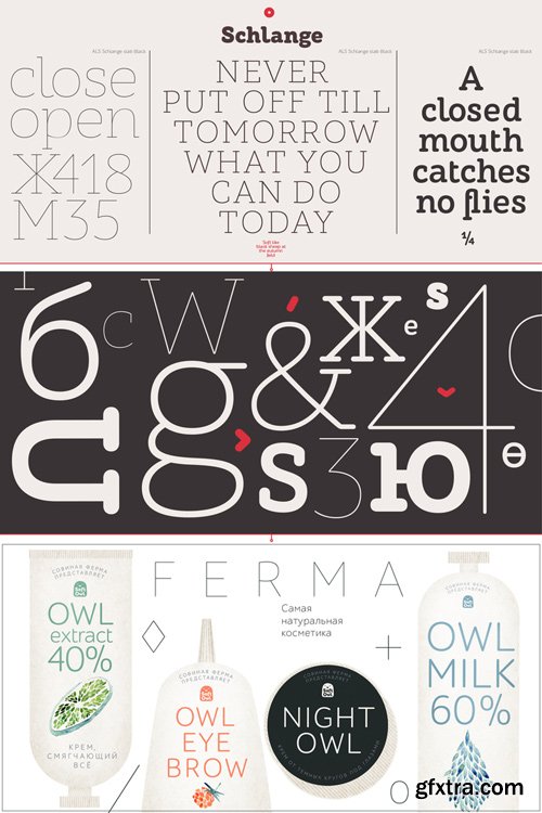 ALS Schlange Sans Font Family $273