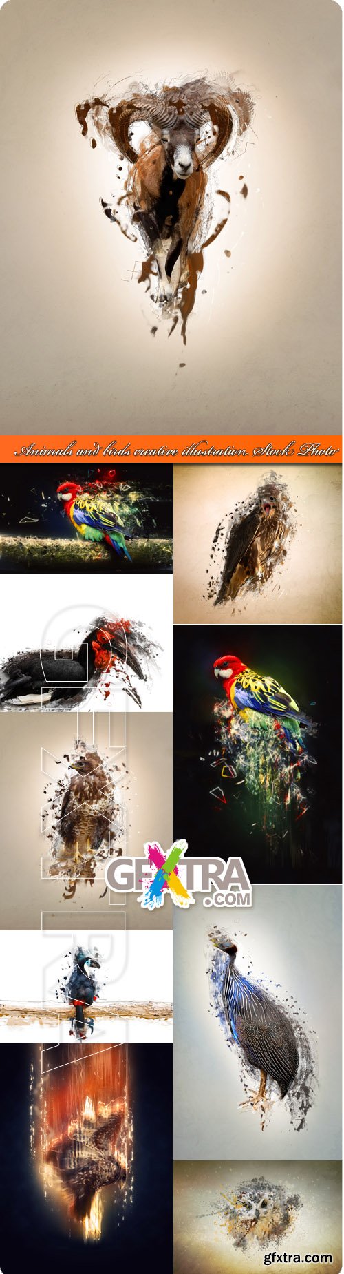 Animals and birds creative illustration Stock Photo