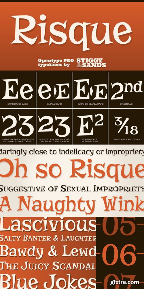 Risque Pro Font Family $29