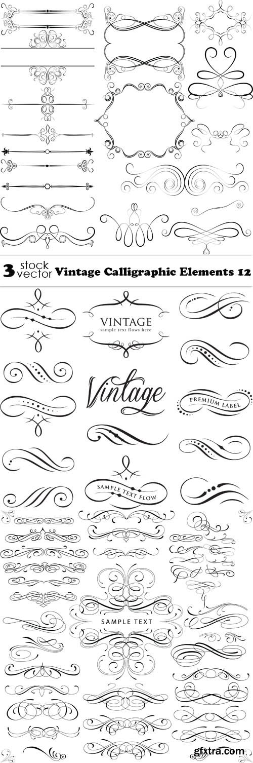 Vectors - Vintage Calligraphic Elements 12