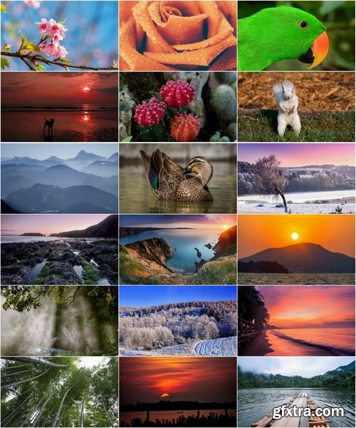 Collection of images of different nature 25 HQ Jpeg