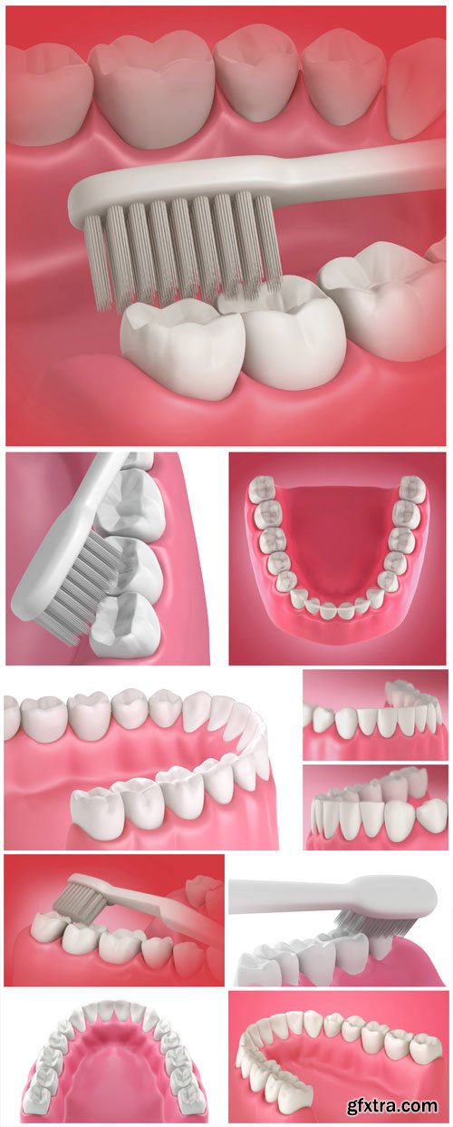 Teeth and toothbrush, dentistry - stock photos