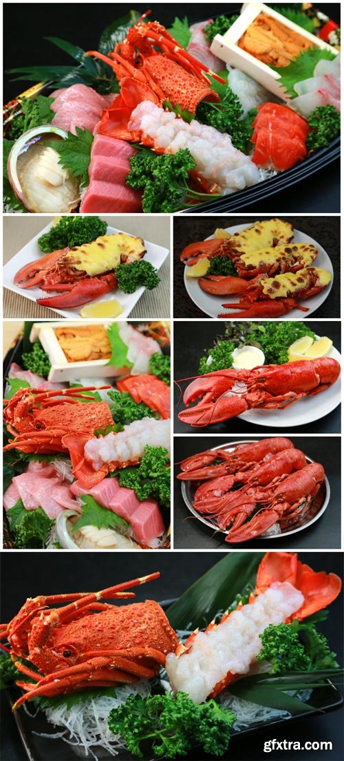 Lobster, seafood - stock photos