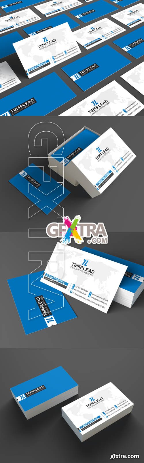 Corporate Business Card SE0204