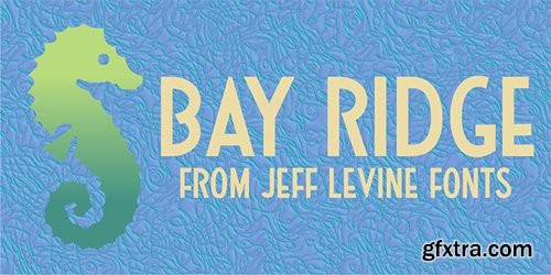 Bay Ridge JNL - 1 font: $25.00