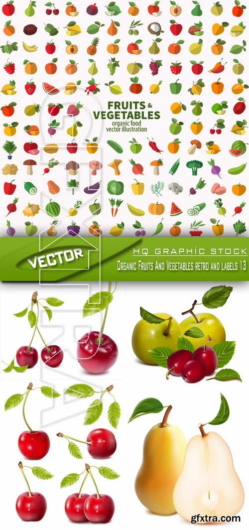 Stock Vector - Organic Fruits And Vegetables retro and labels 13