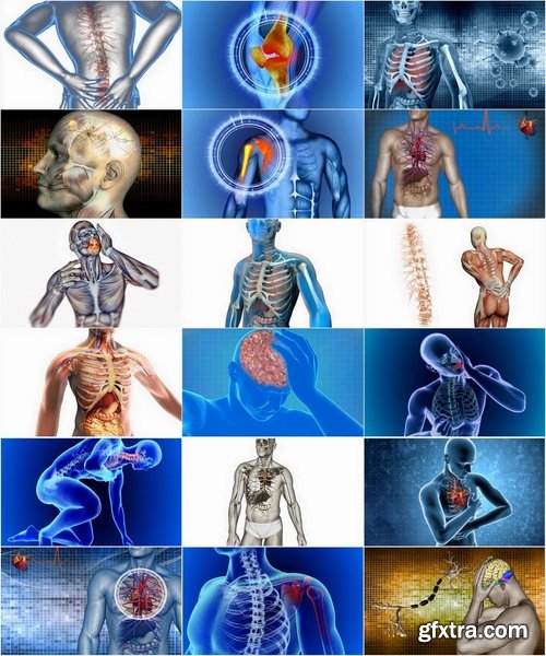 Collection 3d anatomy people 25 HQ Jpeg