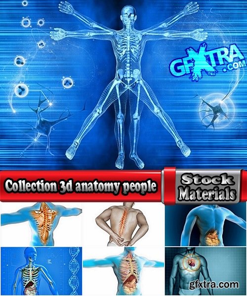 Collection 3d anatomy people 25 HQ Jpeg